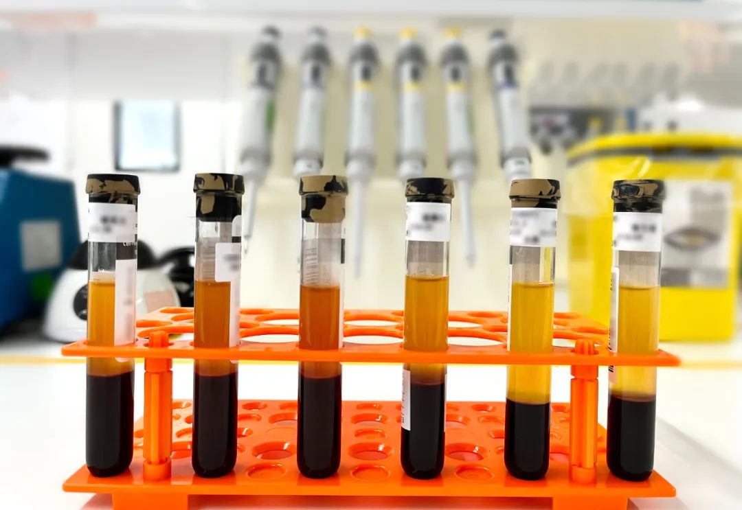 滴血验所有？—— 揭秘NGS血液检测